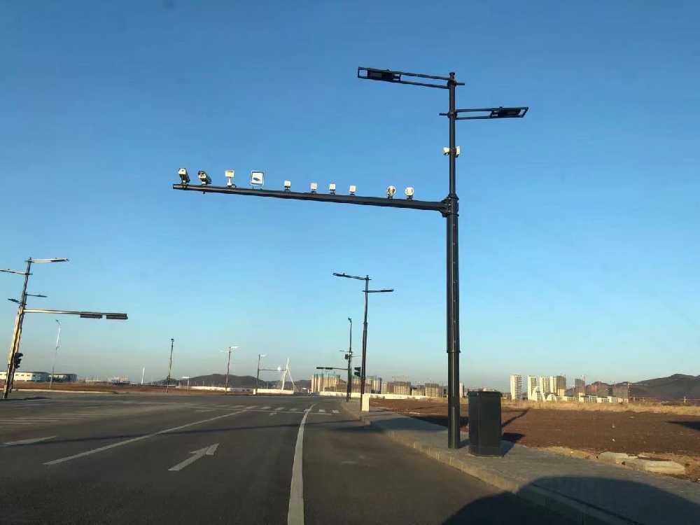 海安市黑龙江佳木斯综合路灯杆项目