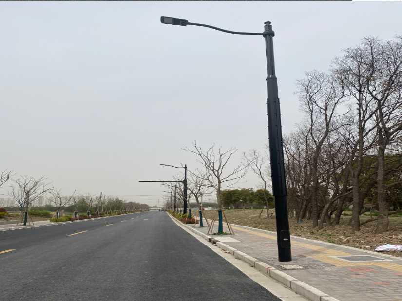 海安市上海综合杆 太阳能路灯工程